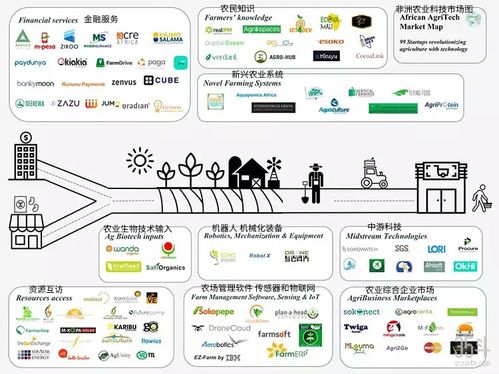 非洲農(nóng)業(yè)科技新浪潮 聚焦種植決策、供應鏈與金融服務的數(shù)字化轉型